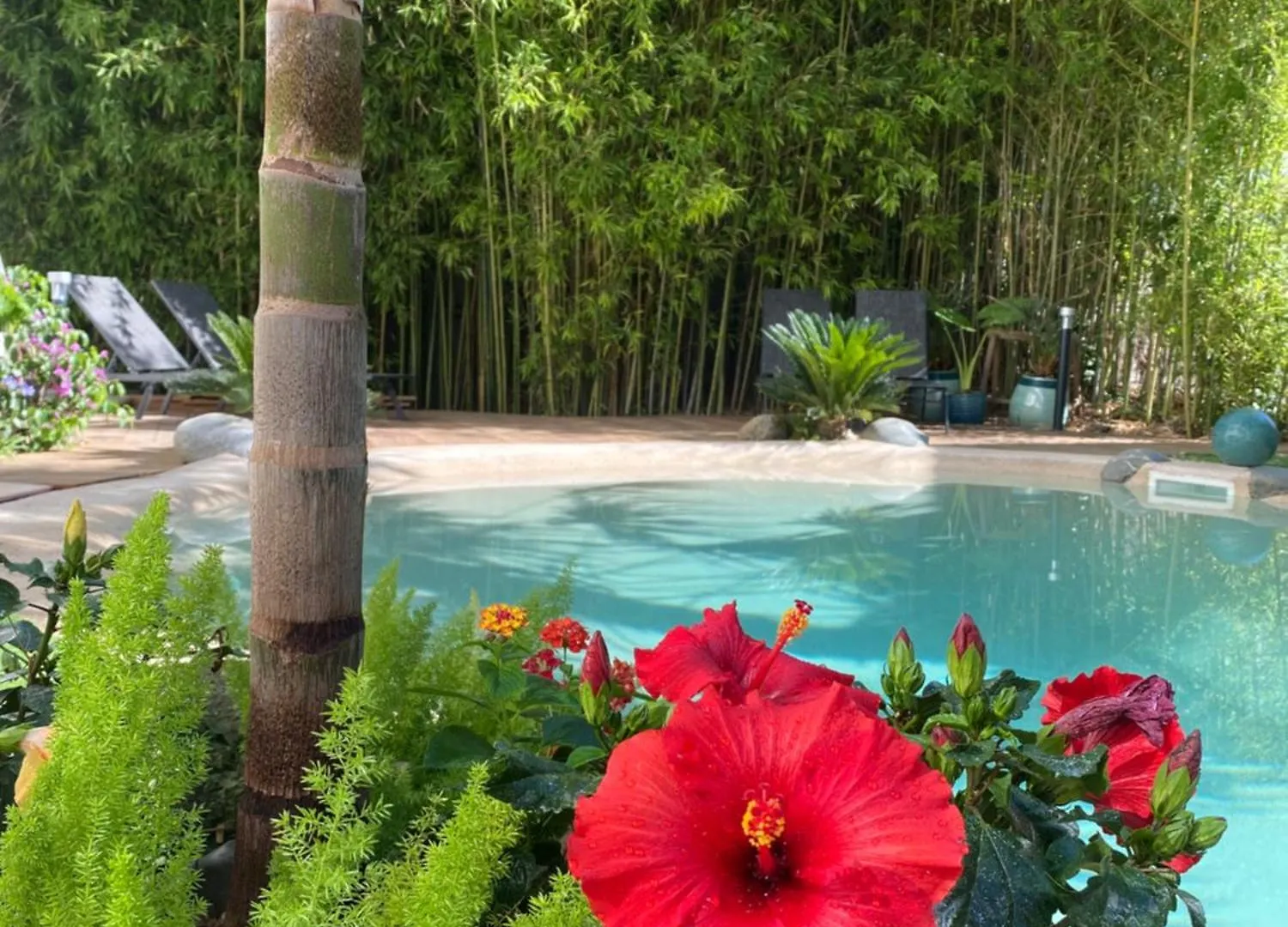 Ferienwohnung Appt Ambiance Chalet 2Ch Piscine Lagon Tarbes Apartment